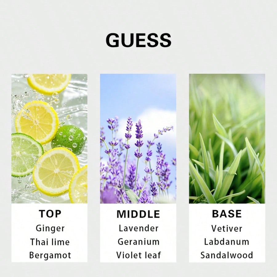 Guess Forever men Eau De Toile - Fragrance And Perfume recension och pris